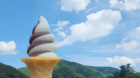 정모 대표 이미지