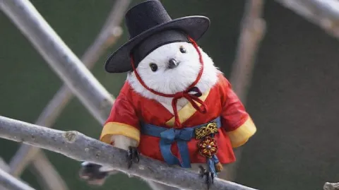 정모 대표 이미지