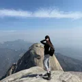 member face