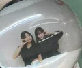 member face