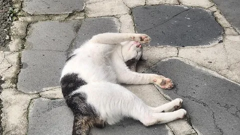 정모 대표 이미지
