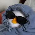 member face