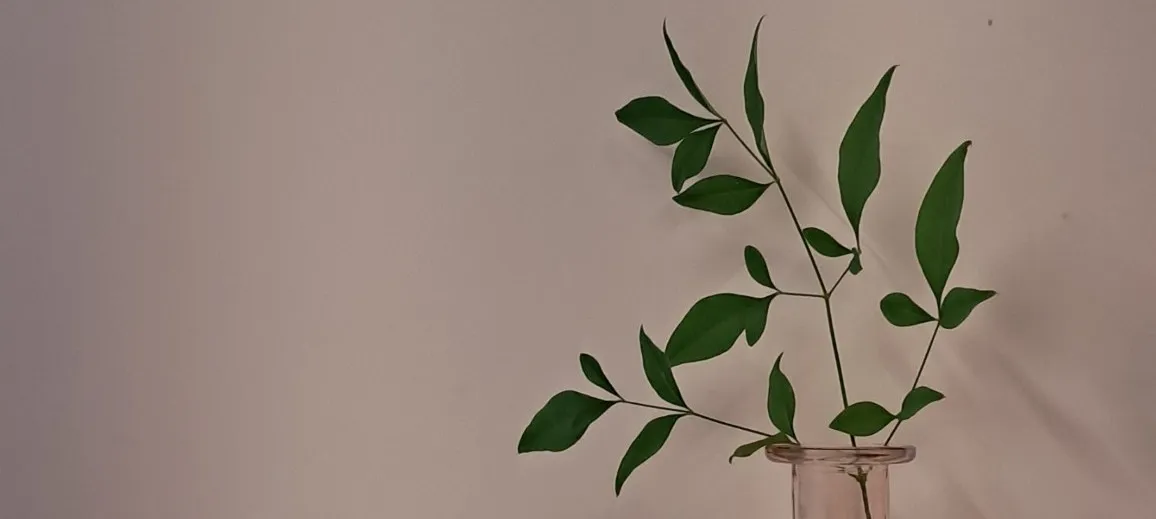 모임 이미지 1