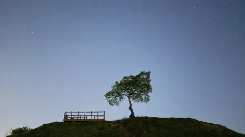 정모 대표 이미지