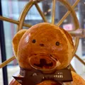 member face
