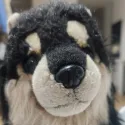 member face