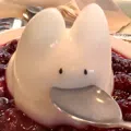 member face