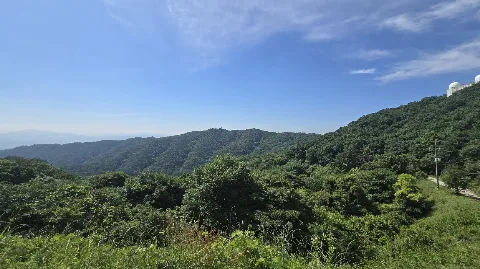 정모 대표 이미지