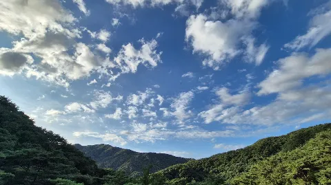 정모 대표 이미지