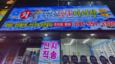 정모 대표 이미지