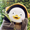 member face