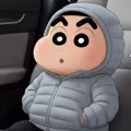 member face