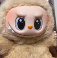 member face
