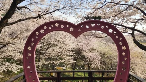 정모 대표 이미지