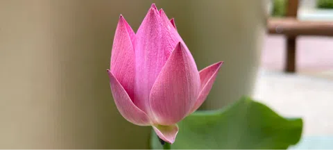 모임 대표 이미지