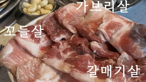 정모 대표 이미지