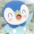 member face