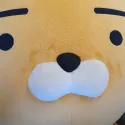 member face