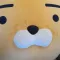 member face