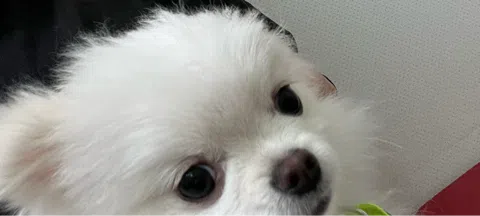 모임 대표 이미지