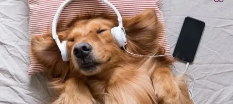 모임 대표 이미지