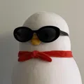 member face