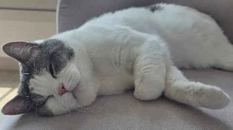 정모 대표 이미지