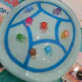 member face