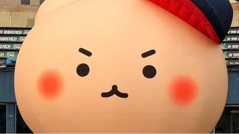 정모 대표 이미지