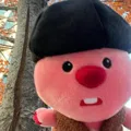 member face