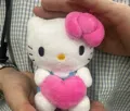 member face