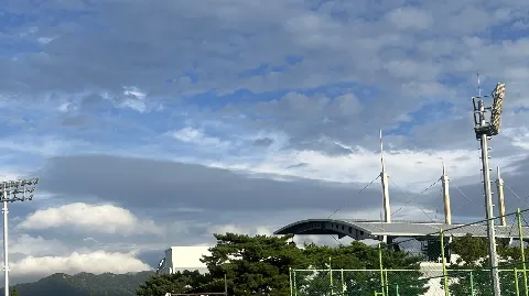 정모 대표 이미지