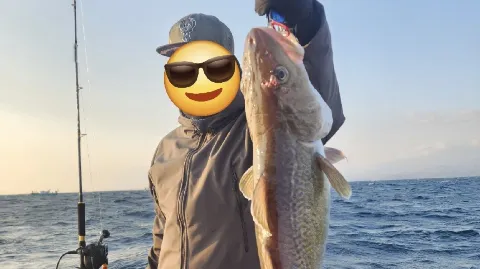 정모 대표 이미지