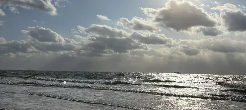 모임 대표 이미지