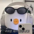 member face