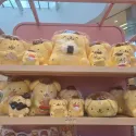 member face