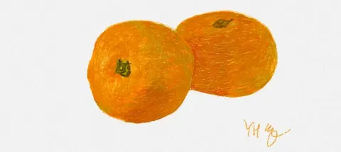 모임 대표 이미지