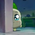 member face