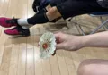 member face