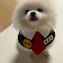 member face