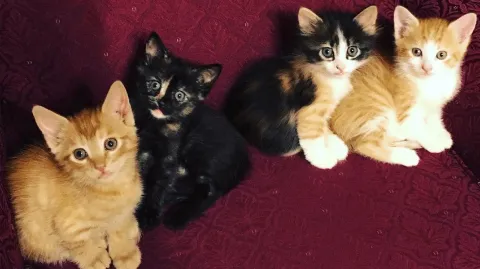 정모 대표 이미지