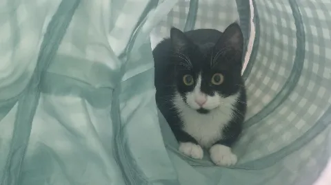 정모 대표 이미지