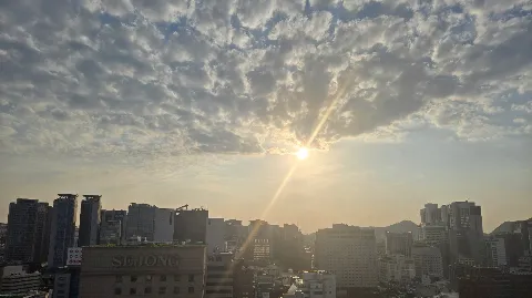 정모 대표 이미지