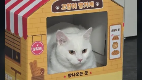정모 대표 이미지