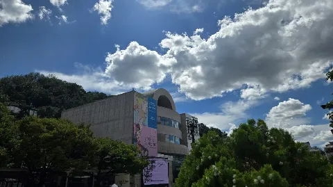 정모 대표 이미지