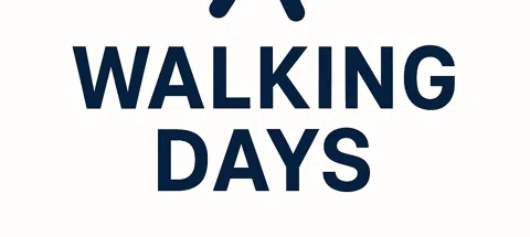 모임 대표 이미지