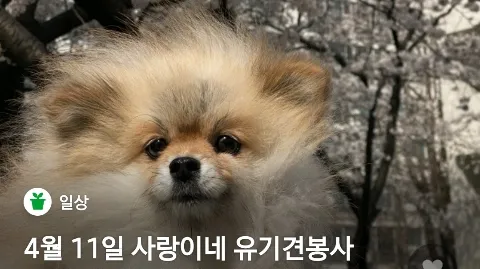 정모 대표 이미지