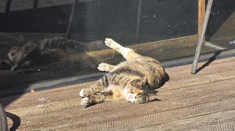 정모 대표 이미지