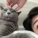member face