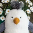 member face